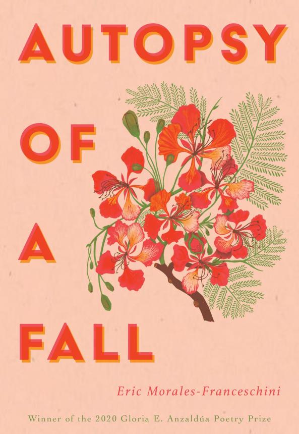 Autopsy of a Fall