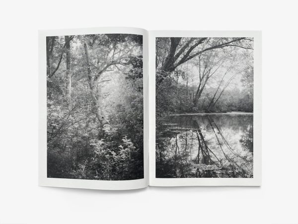 Endscape Interior Photo 1