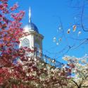 Park Hall Cupola