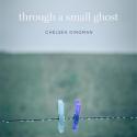 Through a Small Ghost by Chelsea Dingman